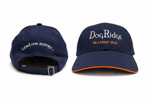 Embroidered Cap - Lead me astray...